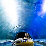 Aquapark - Jedyne W Aquaparku