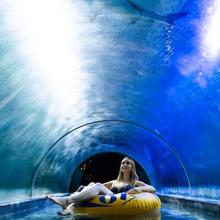 Aquapark - Jedyne W Aquaparku