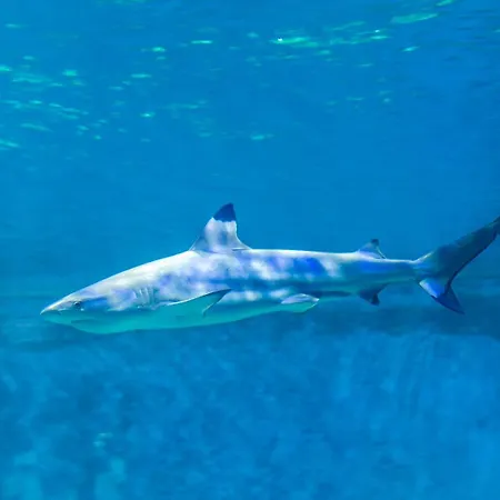 Parco vacanze Aquapark - Jedyne W Aquaparku Reda