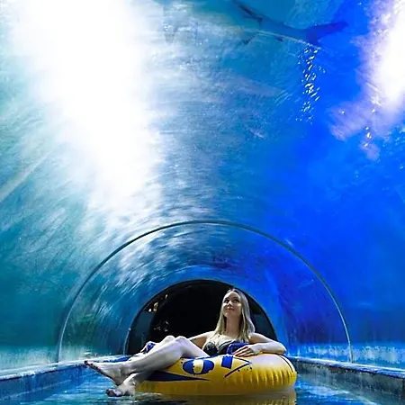 Tatil parkı Aquapark - Jedyne W Aquaparku Reda