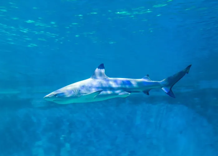 Prázdninový areál Aquapark - Jedyne W Aquaparku Reda